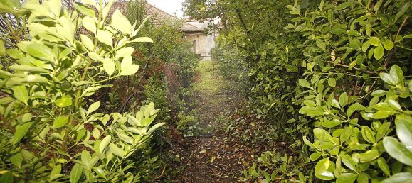 8 bedrooms House in Aldeia das Dez, Portugal No. 16595 5