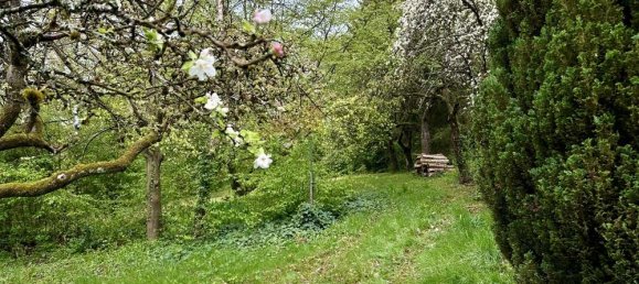 Дом с 5 спальнями в Bad Kissingen, Германия № 77028 29