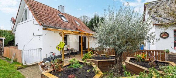 Дом с 4 комнатами в Швабах, Германия № 148133 11