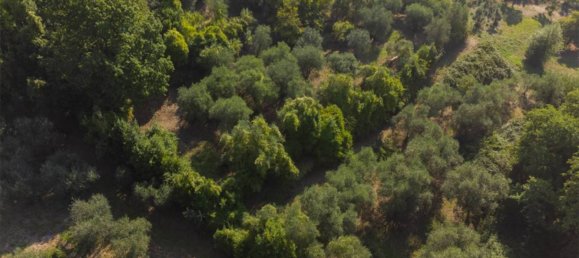 5 bedrooms Villa in Serravalle Pistoiese, Italy No. 143172 19