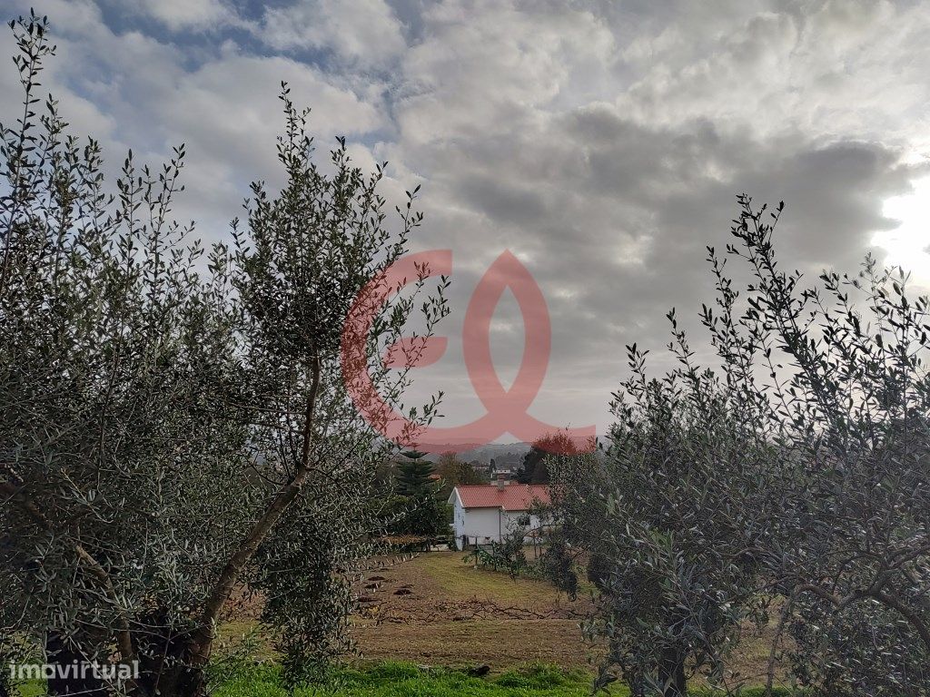 Terreno em Viana do Castelo, Portugal 5150 m² N.º 75443