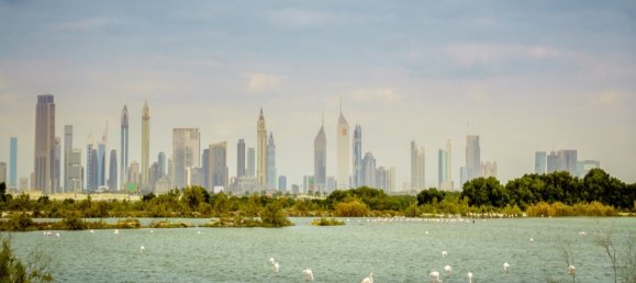 3716.122m² Land in Ras Al Khor, UAE No. 4608 6