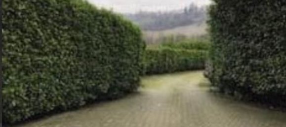 8 rooms Villa in Canneto Pavese, Italy No. 128167 10