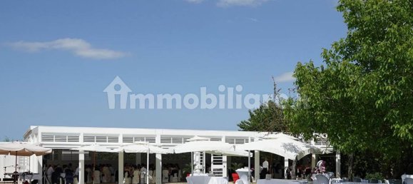 5-Zimmer Gewerbliche Immobilie in Serra de' Conti, Italy, Nr. 225876 7