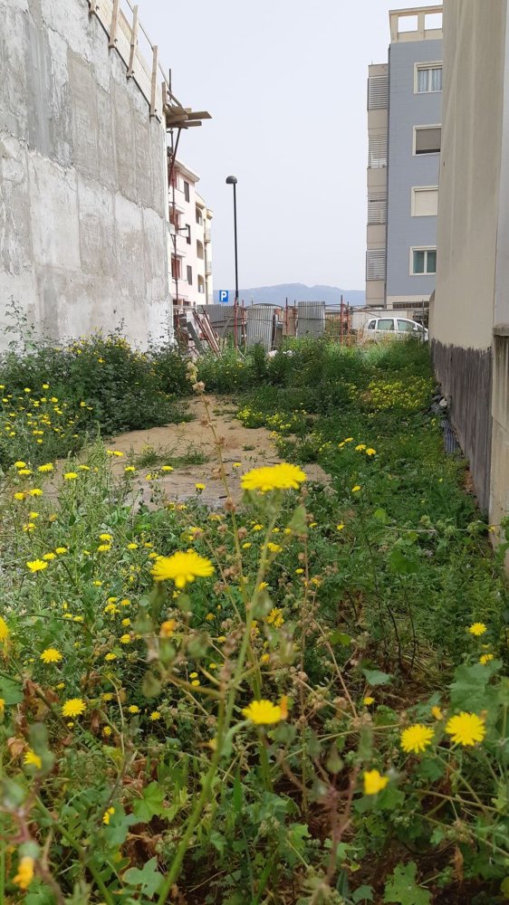 160m² Land in Quartucciu, Italy No. 256423