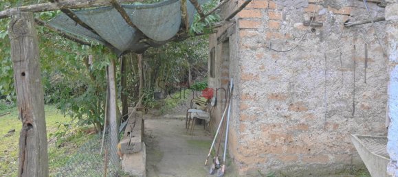 Земельный участок с 1 комнатой в Витербо, Италия № 286516 19