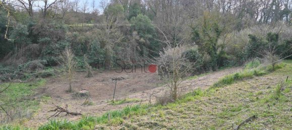 Земельный участок с 1 комнатой в Витербо, Италия № 286516 18