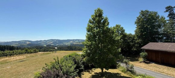 296m² Commercial property in Kirchschlag in der Buckligen Welt, Austria No. 206339 16