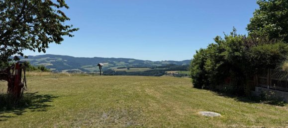 296m² Commercial property in Kirchschlag in der Buckligen Welt, Austria No. 206339 17