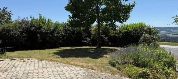 296m² Commercial property in Kirchschlag in der Buckligen Welt, Austria No. 206339 8