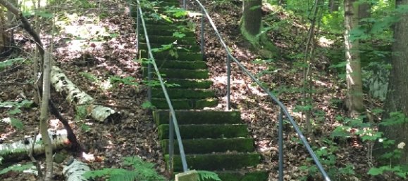 Hotel in Sächsische Schweiz-Osterzgebirge, Germany 1700m², Nr. 131505 20