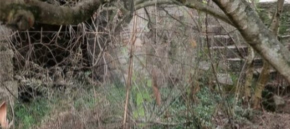 4 bedrooms House in Travanca de Lagos, Portugal No. 164602 9