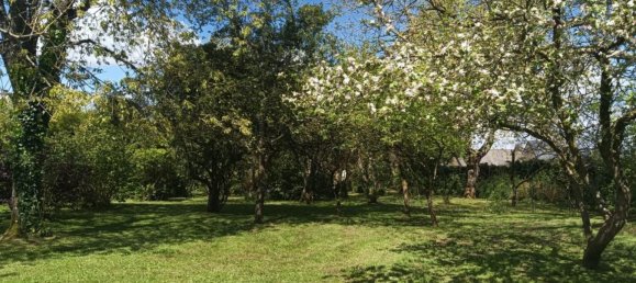 Дом с 2 спальнями в Майен, Франция № 317577 16