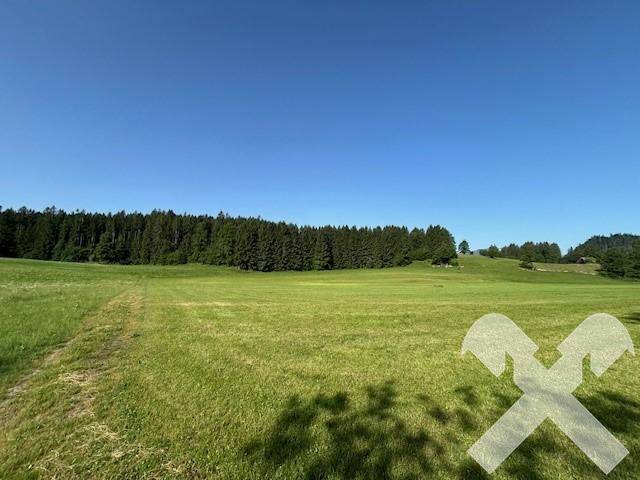 Terrain à Bad Mitterndorf, Austria 14914m² No. 241045