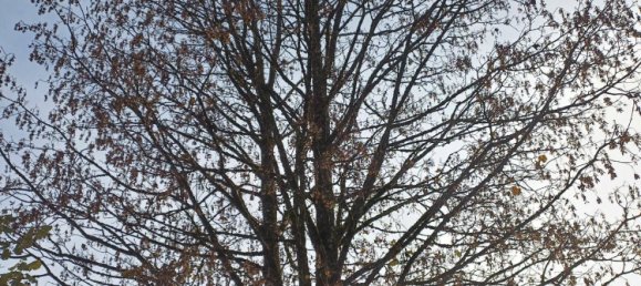 6-Zimmer Villa in Waidring, Austria, Nr. 135608 34