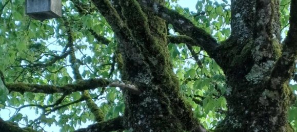 6-Zimmer Villa in Waidring, Austria, Nr. 135608 40