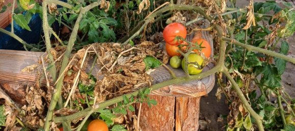 6-Zimmer Villa in Waidring, Austria, Nr. 135608 37