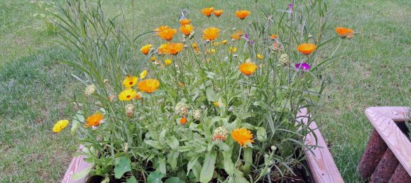 6-Zimmer Villa in Waidring, Austria, Nr. 135608 36