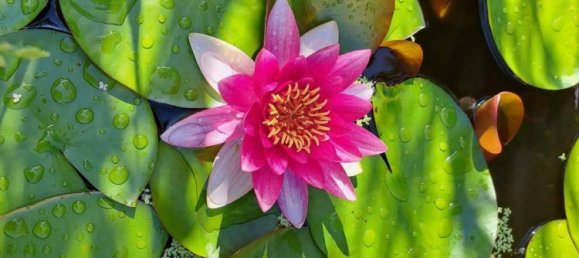 6-Zimmer Villa in Waidring, Austria, Nr. 135608 44