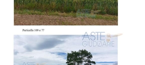 568m² Warehouse in San Clemente, Italy No. 13258 8