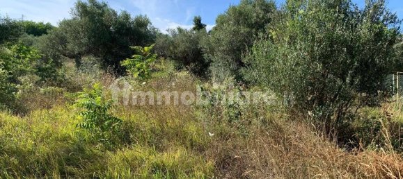 1 Schlafzimmer Wohnung in Città Sant'Angelo, Italy, Nr. 339738 12