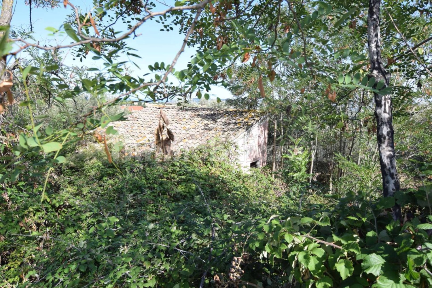 1 Schlafzimmer Wohnung in Città Sant'Angelo, Italy, Nr. 339738
