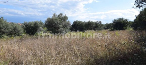 1 Schlafzimmer Wohnung in Città Sant'Angelo, Italy, Nr. 339738 7