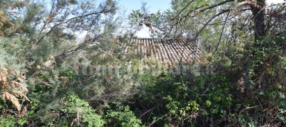 1 Schlafzimmer Wohnung in Città Sant'Angelo, Italy, Nr. 339738 10