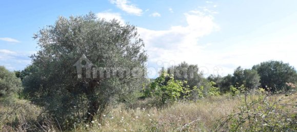 1 Schlafzimmer Wohnung in Città Sant'Angelo, Italy, Nr. 339738 6