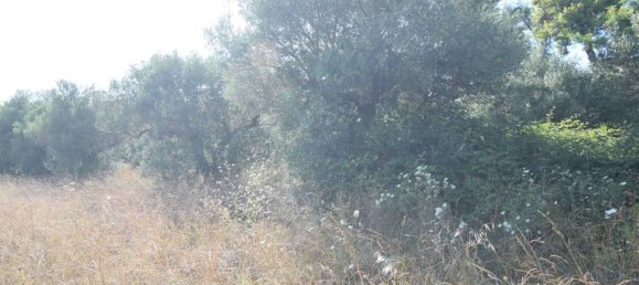 Apartamento T1 em Città Sant'Angelo, Italy N.º 339738 17