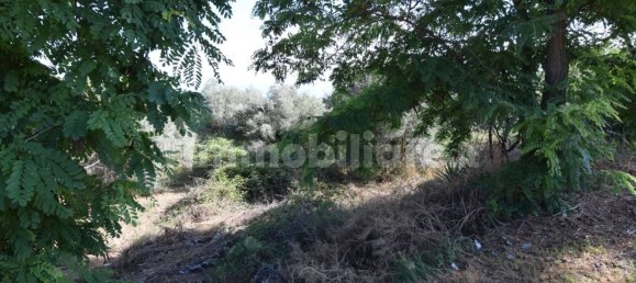 1 Schlafzimmer Wohnung in Città Sant'Angelo, Italy, Nr. 339738 9