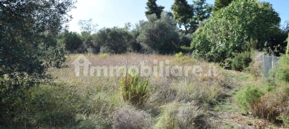 1 Schlafzimmer Wohnung in Città Sant'Angelo, Italy, Nr. 339738 5