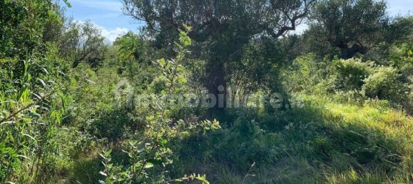 1 Schlafzimmer Wohnung in Città Sant'Angelo, Italy, Nr. 339738 13