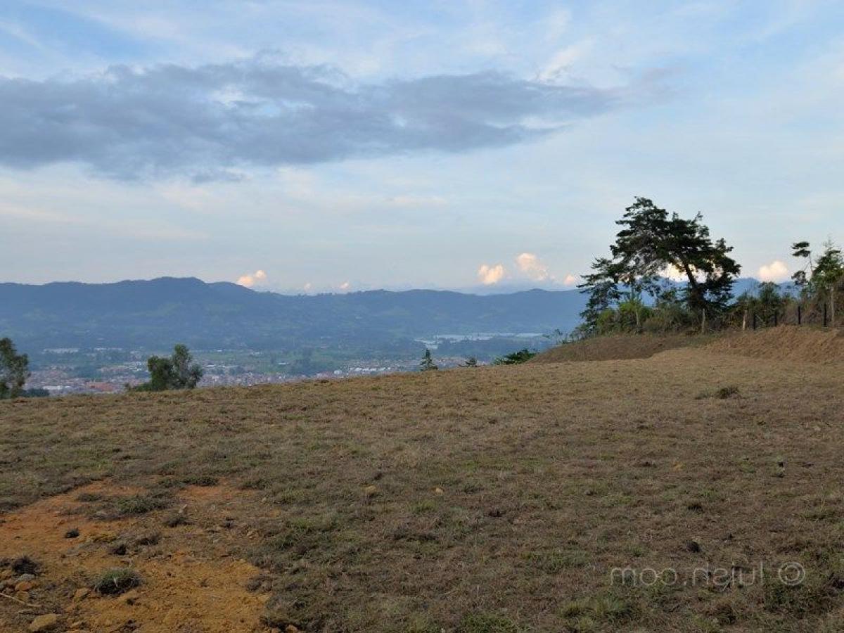 Terrain à Antioquia, Colombia No. 220