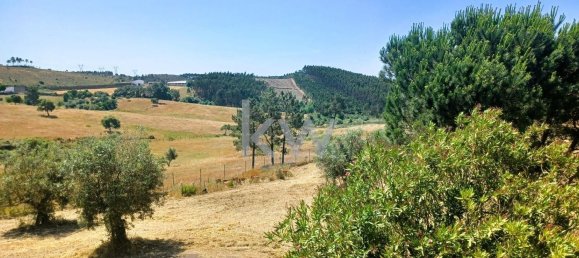 Casa de 4 dormitorios en Tomar, Portugal No. 156518 15