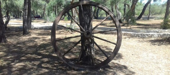  قطعة أرض في Modugno, Italy 27000متر مربع رقم 269407 3