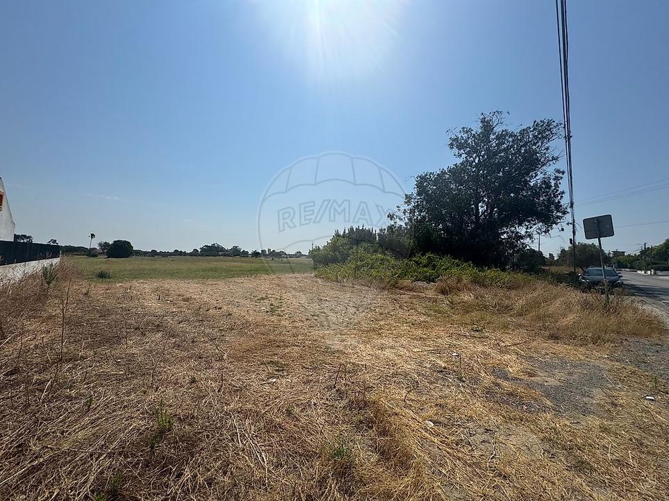  Land in Palmela, Portugal No. 247994