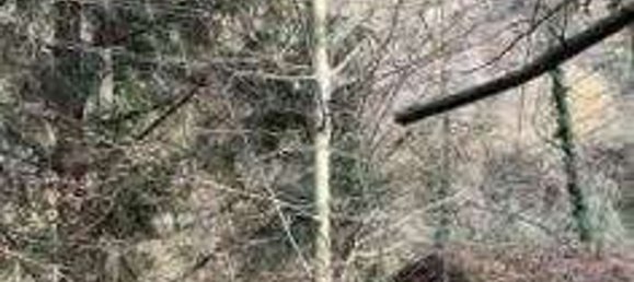 4 rooms Villa in Carate Brianza, Italy No. 4145 9