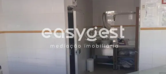 50m² Commercial property in Campo de Besteiros, Portugal No. 79708 4