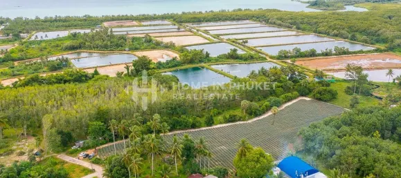  قطعة أرض في Phuket, Thailand رقم 60599 8
