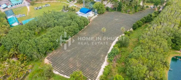  قطعة أرض في Phuket, Thailand رقم 60599 4