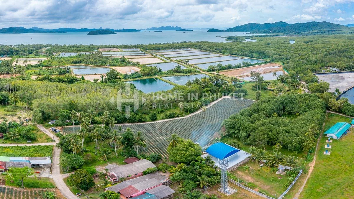 Grundstück in Phuket, Thailand, Nr. 60599