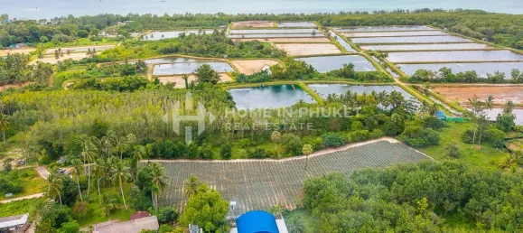  قطعة أرض في Phuket, Thailand رقم 60599 7