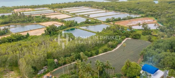  قطعة أرض في Phuket, Thailand رقم 60599 9