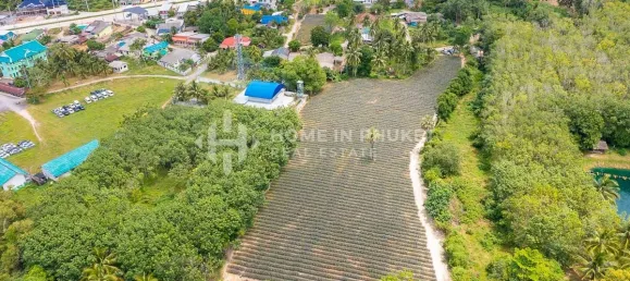  قطعة أرض في Phuket, Thailand رقم 60599 6