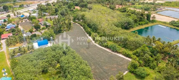  قطعة أرض في Phuket, Thailand رقم 60599 5