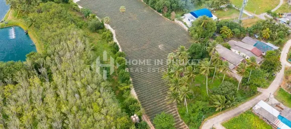  قطعة أرض في Phuket, Thailand رقم 60599 2