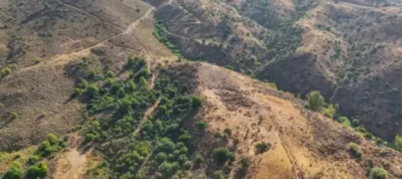  Land in Mijas, Spain No. 181658 27