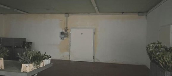 275m² Warehouse in Tuoro sul Trasimeno, Italy No. 150890 21