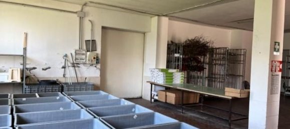 275m² Warehouse in Tuoro sul Trasimeno, Italy No. 150890 17